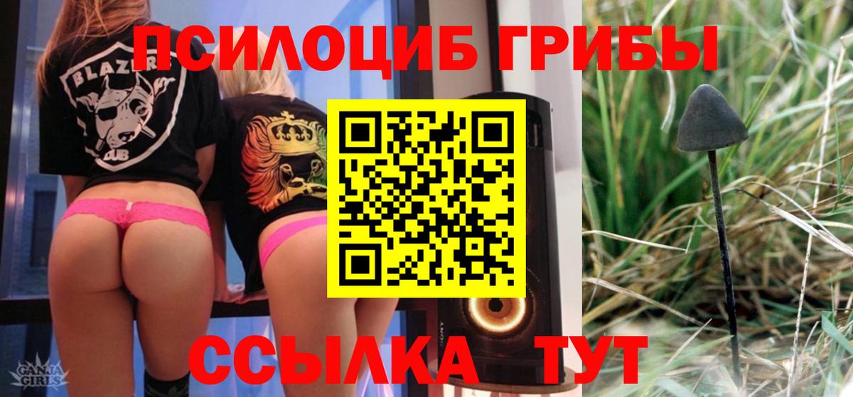 Галлюциногенные грибы ЛСД Качканар